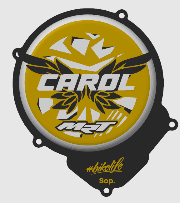 Tapa de rotor personalizada – AM6
